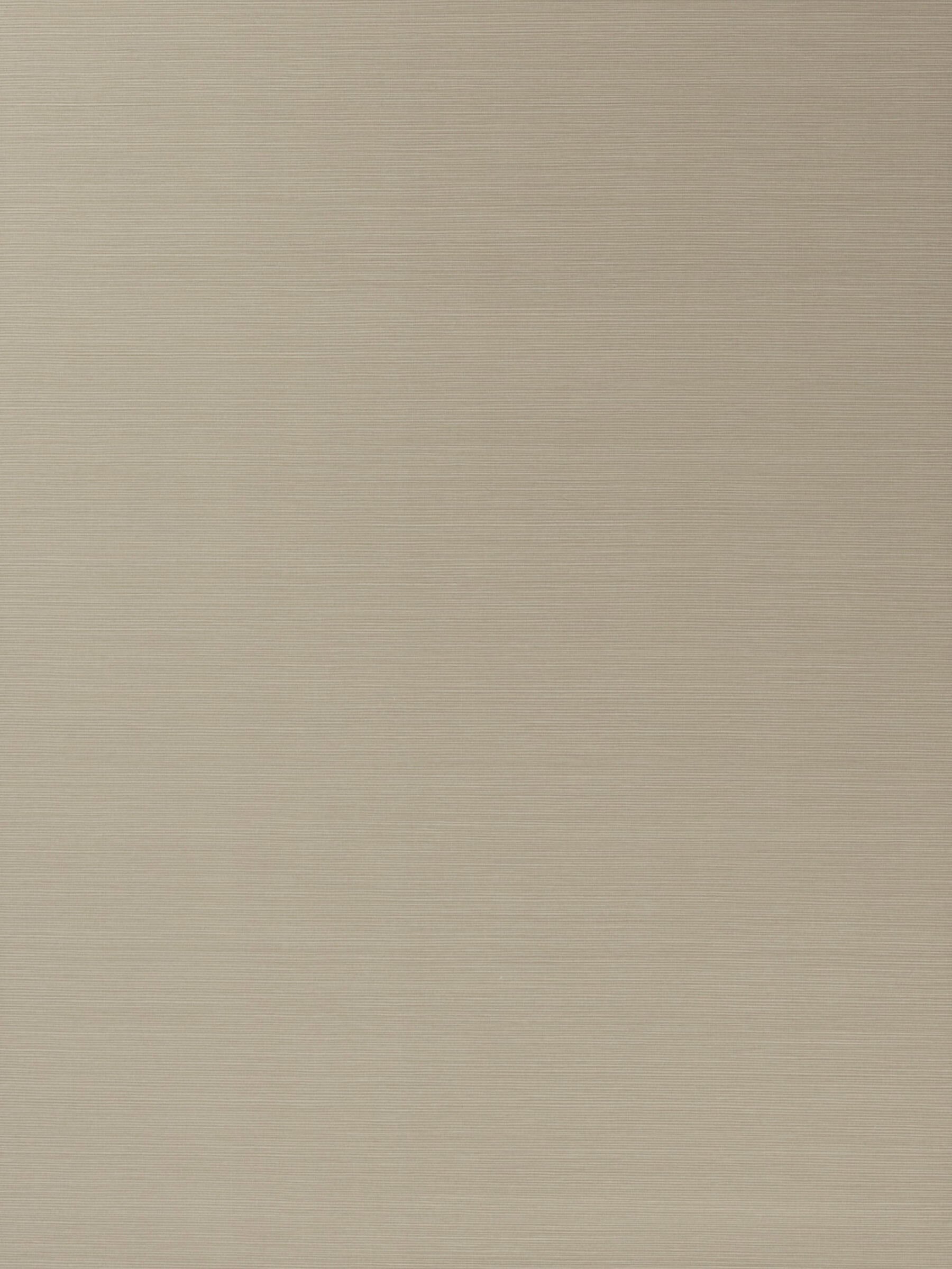 Salix Buff 08