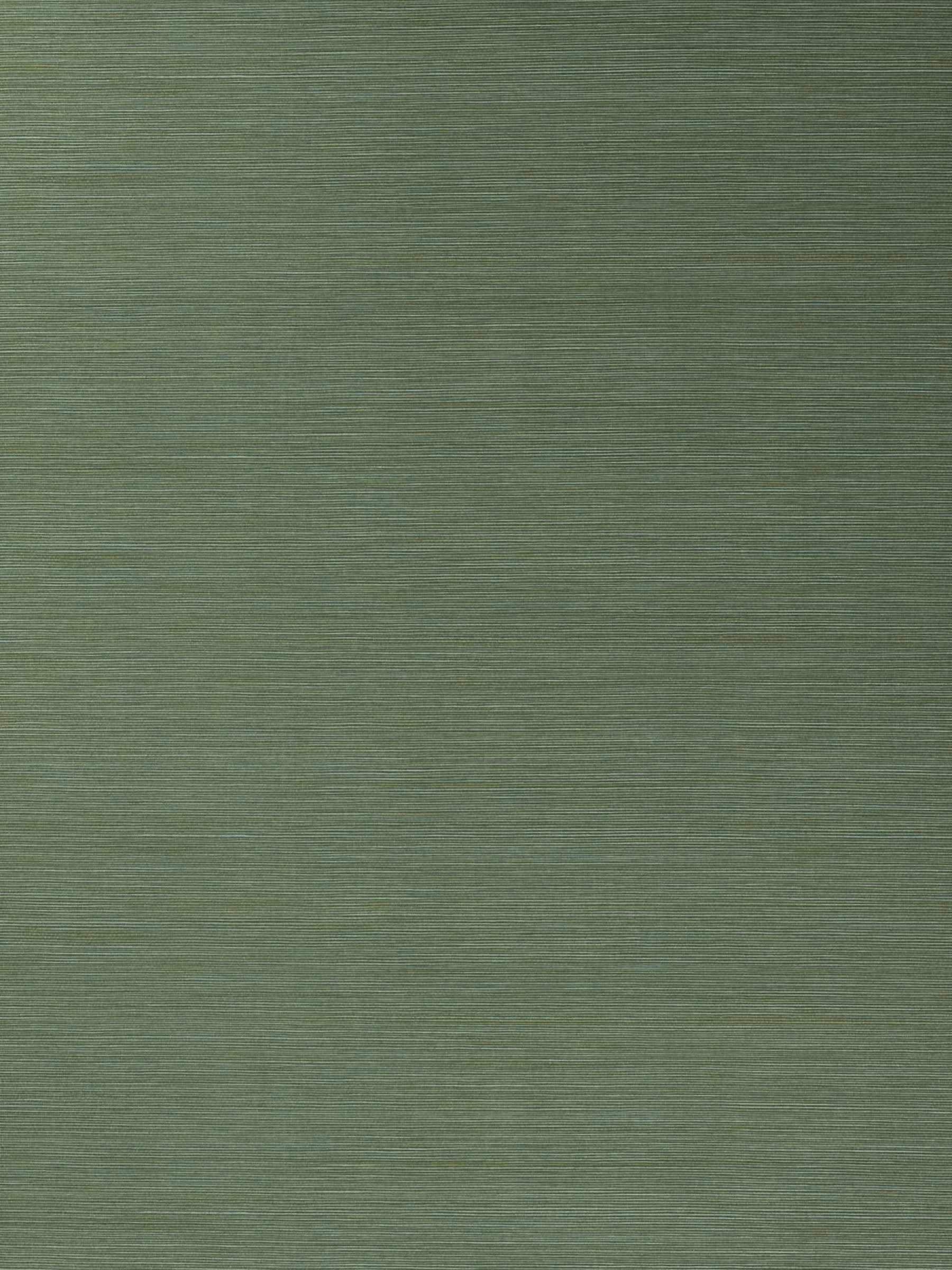 Salix Leaf 12